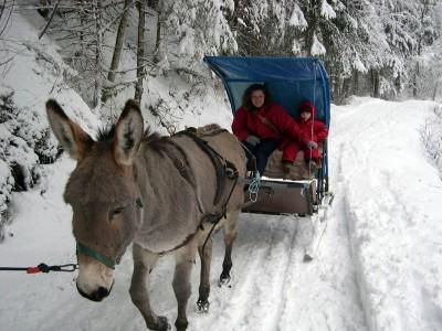 Hotel Le Relais Des Ecrins *